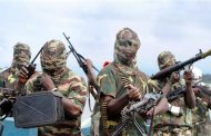 “Boko Haram”… the Salafi jihadism cancer in Nigeria