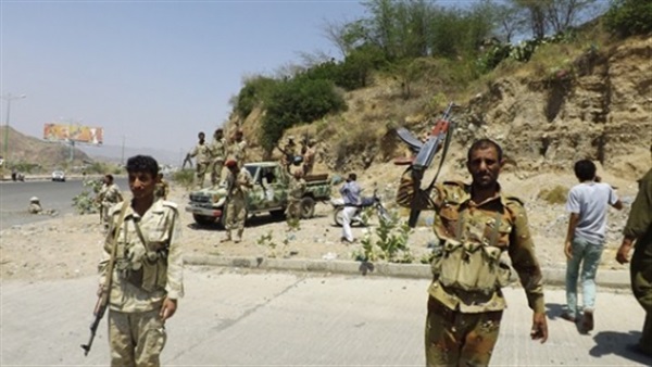 46 Houthi militias killed in raids