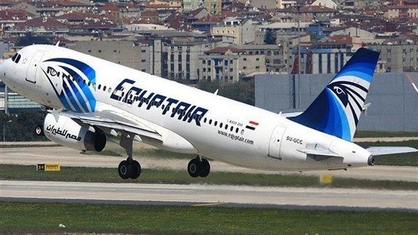 Judiciary belies foreign media reports about EgyptAir plane crash