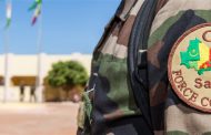 A new fighter against terrorism in African Sahel region