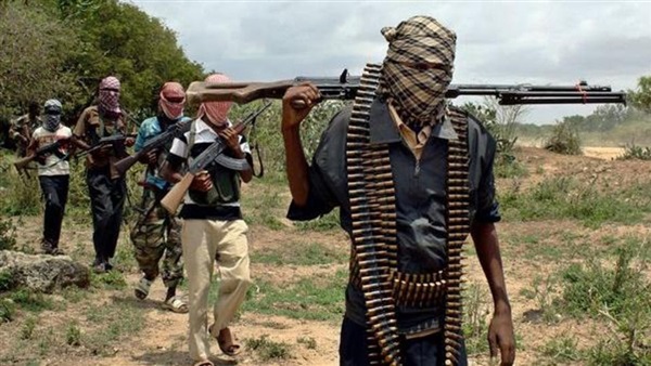 Tribal alliances: Terrorist Al-Shabaab derive their strength from the state’s fragility