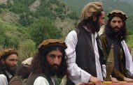 The Taliban and Al Qaeda:  Gathered by terrorism and separated by interests and objectives