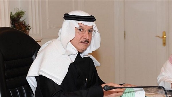 OIC backs Egypt's support in fighting terrorism