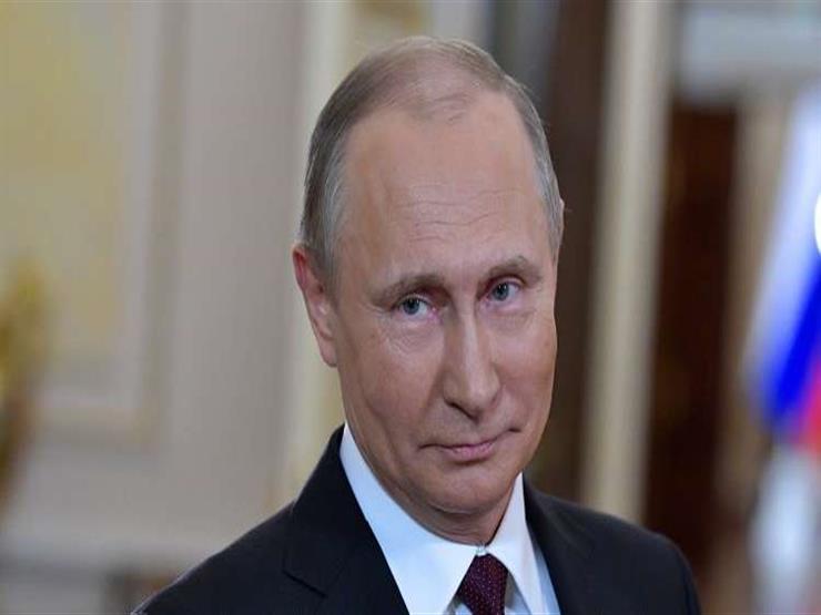 Putin has not discussed with Trump, Erdogan developments in Syria Yet