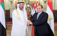 Sisi, bin Zayed witness inking of cooperation agreements