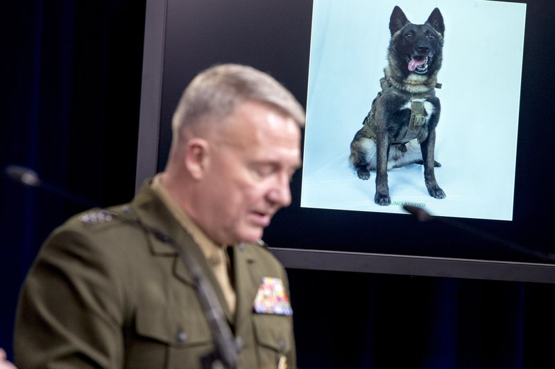 Trump wants to honor dog from Syria mission at White House