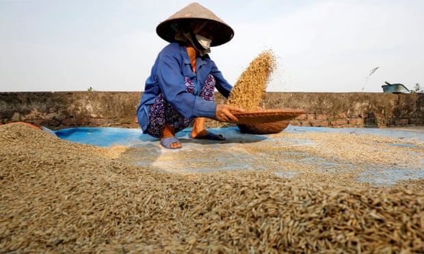 Coronavirus measures could cause global food shortage, UN warns