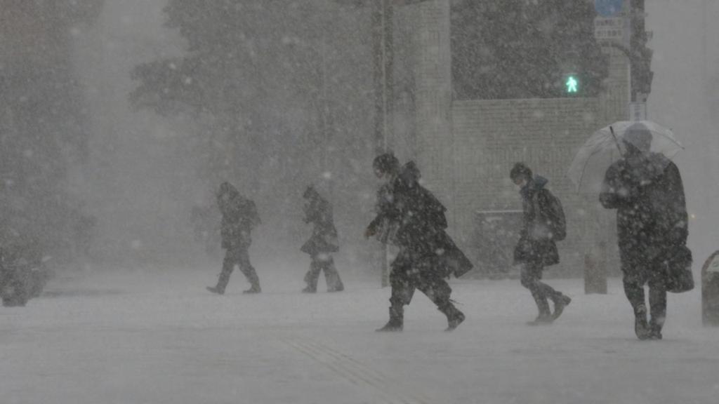 Severe blizzard lashes northern Japan
