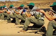 Classifying Hasm as terrorist organization entails considering Brotherhood as well