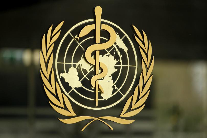 World No Closer to Answer on COVID Origins Despite WHO Probe - Expert