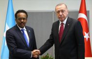 Somalia caught between al-Shabaab and Erdogan's ambitions