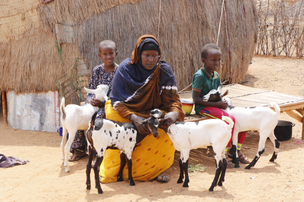 Over 116, 000 displaced in Somalia due to extreme water shortage