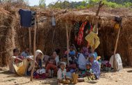 Shame on humanity: Benishangul witnesses new chapter in Ethiopian massacres
