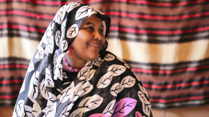 Sudan Launches Diplomatic Campaign to Garner Support in GERD Dispute