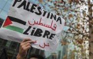 UN Rights Body Holding Session on Gaza Next Week