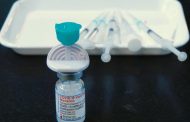 New Type of Coronavirus Originating in Dogs Found, Finds Study
