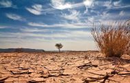 Iran, Turkey making Iraq's water crisis worse
