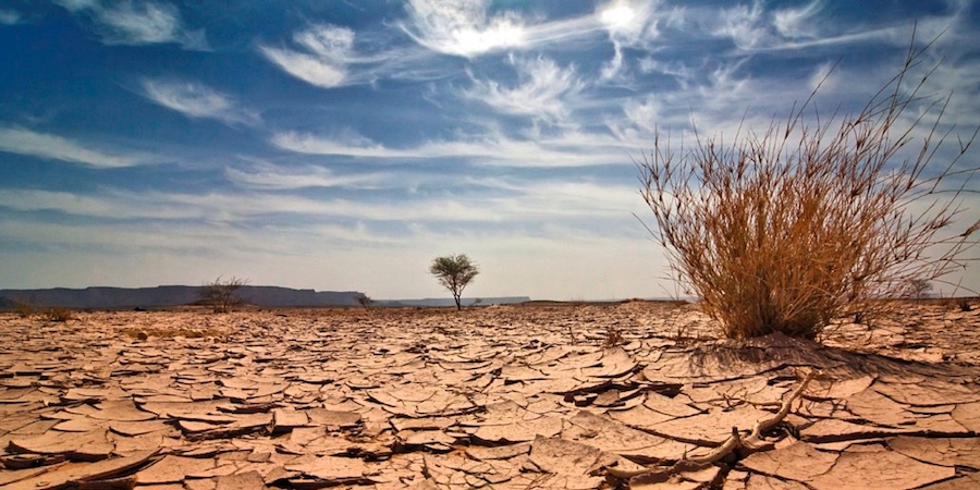 Iran, Turkey making Iraq's water crisis worse