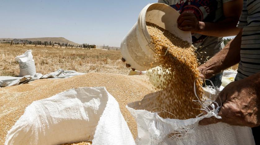 Syrian Drought Puts Assad’s ‘Year of Wheat’ in Peril