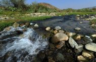 Saudi Arabia Marks World Environment Day