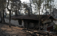 Turkey Is Next as Wildfires Afflict Mediterranean Countries