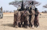 Boko Haram looks for new strongholds in attempt to avoid downfall