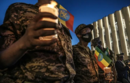 Ethiopian govt vows to fight on in 'existential war'