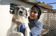 Outraged Iranian pet owners kick back against new proposal to ban all pets