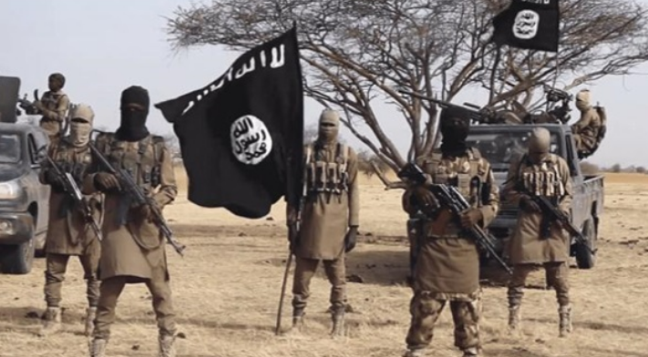 A year of crises for ISIS in Africa