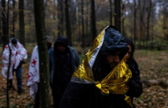 Syrians in Polish forest accuse Lukashenko’s forces of brutality
