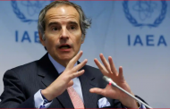 UN Nuclear Watchdog Head Qualifies Claims About Iran's Commitments on Access to Inspectors