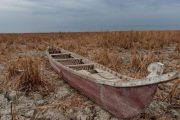To confront drought and desertification: Iraqi moves towards Turkey and Iran