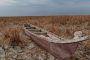 To confront drought and desertification: Iraqi moves towards Turkey and Iran