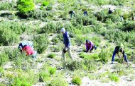 Terrorist mines besiege farmers and herders in Tunisian mountains