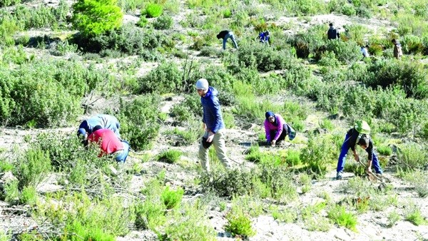 Terrorist mines besiege farmers and herders in Tunisian mountains